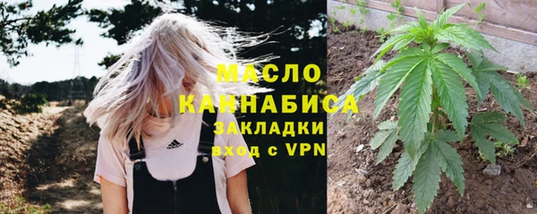 молекула духа Протвино