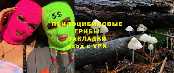 герыч Алексин