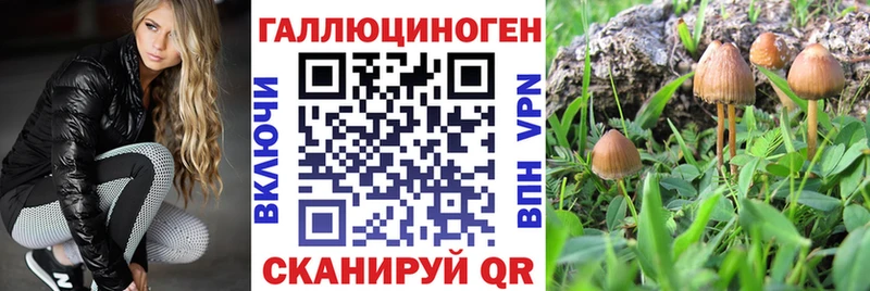 Галлюциногенные грибы Cubensis  Бахчисарай 