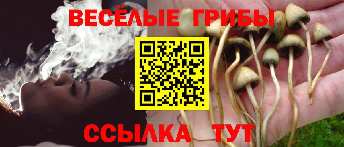 Галлюциногенные грибы Psilocybe Бахчисарай
